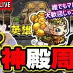 【🔴モンストLIVE】エラベルベル使って金確定神殿を貼っちゃうぜ!!　マルチ参加はどなたでも♪