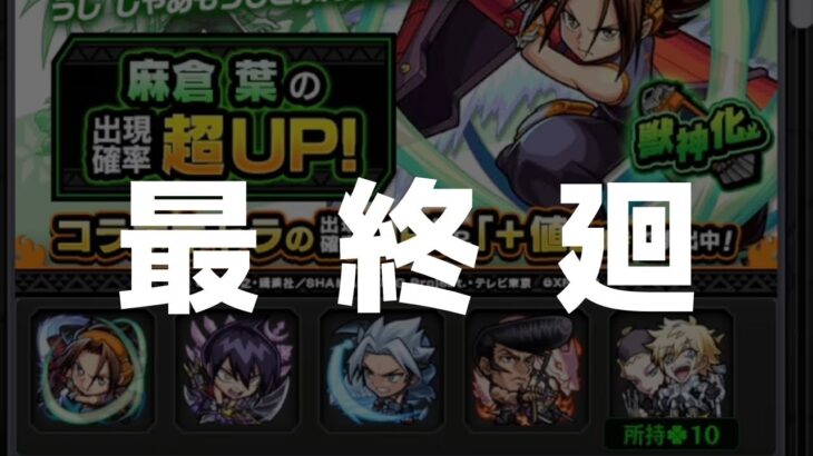 もうひとふんばり 最後のコラボガチャ【モンスト×SHAMANKING】