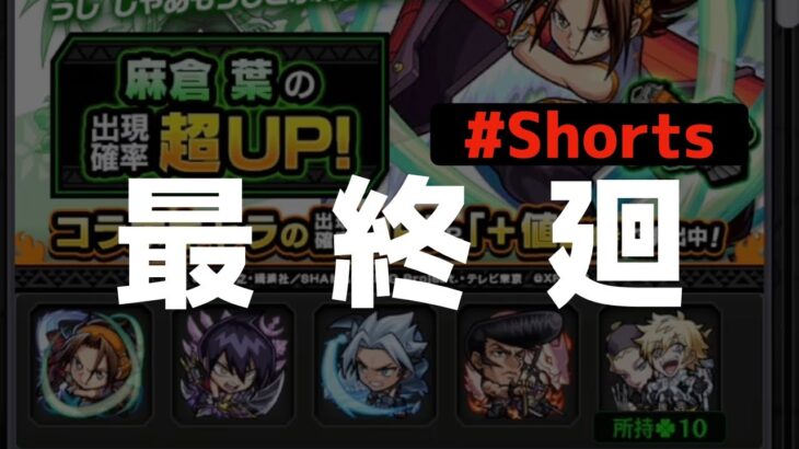 最後のコラボガチャ！麻倉葉狙い！【モンスト×SHAMANKING】#shorts