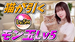 【モンスト】猫が引くモン玉Lv5！今月もお疲れ様&近況報告【yuki】