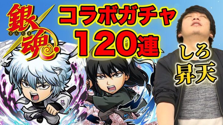 銀魂コラボ第二弾きた！コラボガチャ120連でコンプ狙いでまさかの展開に！【コトダマン】【しろ】