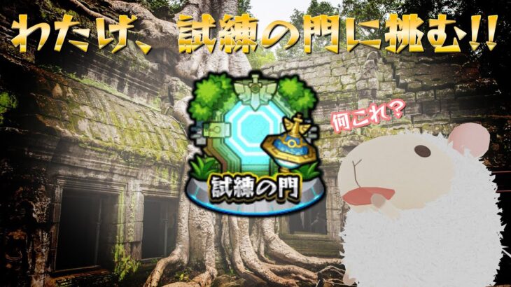 【モンスト】試練の門に行ってみる(*´Y`*)b【雑談】