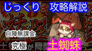 【モンスト】自陣無課金　究極　土蜘蛛（つちぐも）【じっくり攻略解説】【2022】【新イベント】