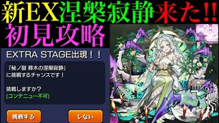 【モンスト】新EX『涅槃寂静』来たあああ!!初見ガチパ編成で挑戦!!【禁忌の獄】