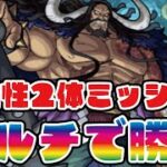 【モンスト】🔴超究極カイドウ！火属性2体ミッション！みんなで勝とう！初見さん大歓迎！