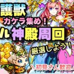 【モンストライブ】欠片集めとベル神殿！マルチ参加型！✨雑談しながらでも！！初見さん大歓迎なので遊びに来てね！