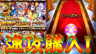 【モンスト】 当たりキャラが多すぎる神ガチャ！初心者応援パック＆プレミアムパック引いた結果！！