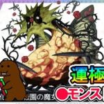 【モンスト】参加型マルチ　薔薇園の魔女　＃まどマギコラボクエスト