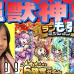 限定！？【モンスト】星6確定ガチャ【超獣神祭ガチャ】連続で4アカウント引いてみよう！！