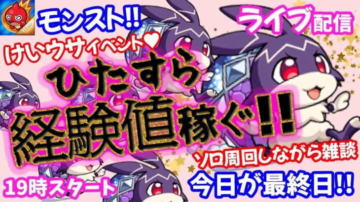 モンスト🌟ライブ配信【けいウサ🐰周回FINAL】ソロ経験値稼ぎ🌟まったり雑談🐾