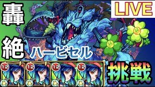 【🔴モンストLIVE】攻略したい『轟絶ハービセル』に挑む！！気軽に入れる配信はこちらです【轟絶】