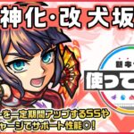 【新キャラ】犬坂毛野 獣神化・改！味方のパワーを一定期間アップするSSやSSターンチャージでサポート性能◎！【新キャラ使ってみた｜モンスト公式】