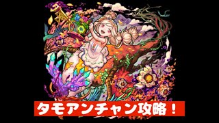 【モンスト】タモアンチャン攻略！（大分グダってますがお許しください🙇‍♂️）#モンスト #タモアンチャン