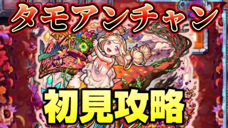 【モンスト】アビニパネル再び！新爆絶タモアンチャン初見攻略！