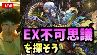 【モンストLIVE】EX不可思議ただいま二連敗してるけど運極にしたい【ルイ】