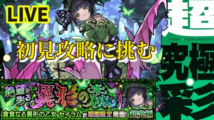 【モンスト】　超究極・彩　セイラム　初見攻略に挑む　【こうちゃ】