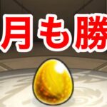 【モンスト】【星６確定ガチャ】今月の勝負！！今月こそ決めたい！！