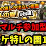 【マルチ参加型】参加概要欄から　ビスケット特Lの園　先着18名【モンスト】