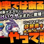 【モンスト】時給1000万！『けいウサ』でランク上げ【ぎこちゃん】