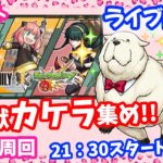 モンスト🌟ライブ配信🌟SPY×FAMILYコラボ守護獣ボンドくんカケラ集め✨マルチ周回