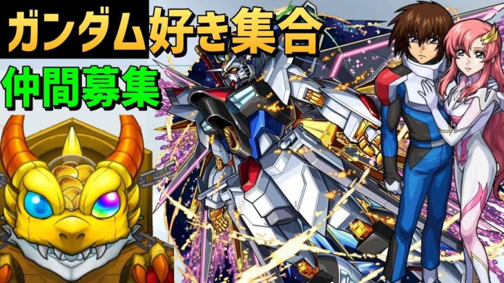 【モンスト】ガチャ🔴ガンダムコラボ🔵16日11時30分からガチャライブします🔴機動戦士ガンダムSEEDFREEDOM　シード