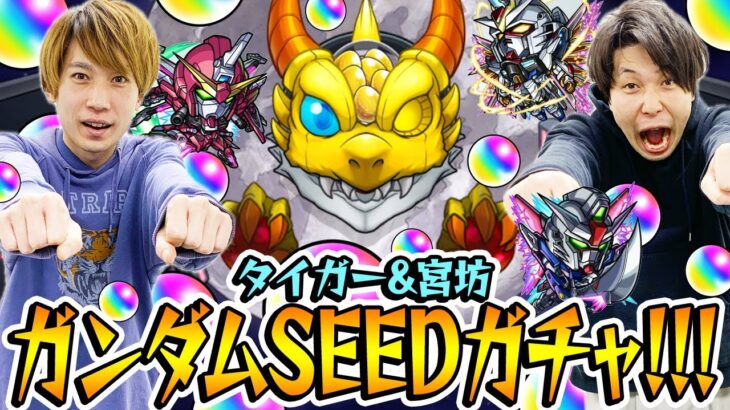 【モンスト】M4タイガー桜井&宮坊のガンダムSEED FREEDOMコラボガチャ！キラ&ラクス/アスラン/シン狙い！【ガンダムコラボ第2弾】