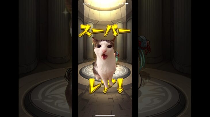 【モンスト】猫ミームコラボ開催 #猫ミーム #モンスト #ガチャ #モンストガチャ #超獣神祭 #猫ミーム日常