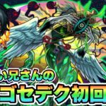 【モンスト】酔っ払いのカカゴセデク初回攻略【シン】