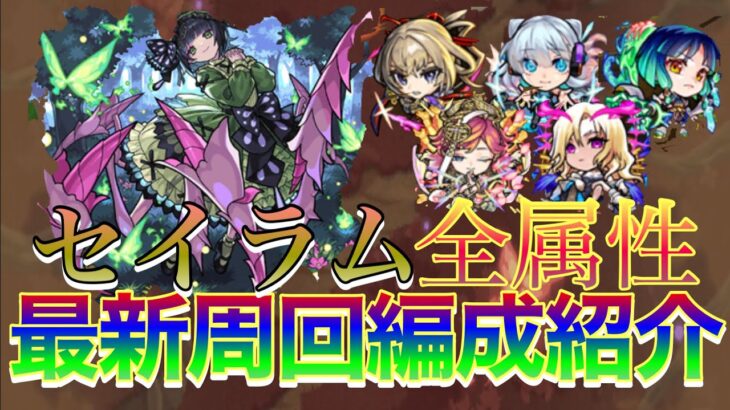 【運極目指す方必見】超究極彩セイラム全属性最新周回編成紹介【モンスト】