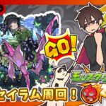 【参加型】セイラム運極周回！みんなでマルチ！【モンスト】