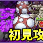 【モンスト】怪獣8号コラボ！超究極怪獣9号初見攻略！｜モンスターストライク｜参加型