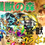 【モンスト】モンドリ落ちたし遭難します(守護獣の森)