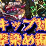 【こんきつね】ステージスキップ全対応紹介！ワンパン編成【モンスト】