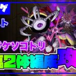 【モンスト】初心者必見！轟絶ドケソコトリを降臨2体編成で攻略 各ステージ解説付き