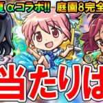 【引くべき!?】まどマギαコラボキャラ考察！《まどかα、ほむらα、杏子α》天魔の庭園8と試練4で最強!?当たりキャラはどれ？【モンスト/しゅんぴぃ】