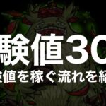 【経験値30倍〜書庫編〜】経験値の稼ぎ方やおすすめクエストと編成紹介【モンスト】