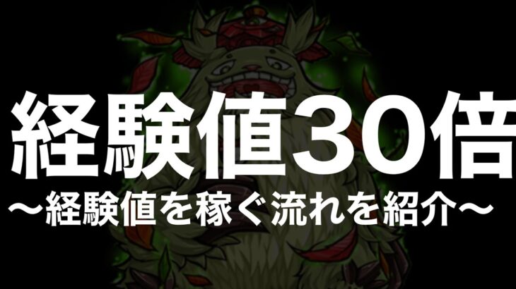 【経験値30倍〜書庫編〜】経験値の稼ぎ方やおすすめクエストと編成紹介【モンスト】