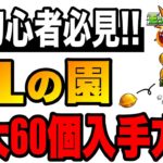 【モンスト】初心者必見!! 『特Lの園』で最も効率的な立ち回りを解説