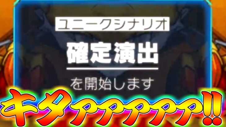 【モンスト】 遂に始まったシャンフロコラボガチャでまさかの奇跡起こる！！！