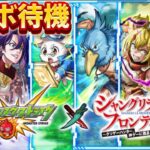 【モンスト×シャンフロ】最速でガチャ結果報告会『初見さん大歓迎』#モンスト#シャングリラ・フロンティア#天魔の弧城#空中庭園#アーキレット#コルティーナ#超究極彩#グランギニョル