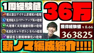 【新ノマクエ】ベル1周36万経験値!!!各属性のとりあえずこんな感じでやるかも編成紹介!!!【ぺんぺん】