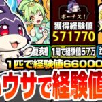 【モンスト】1周で経験値57万！神イベ『けいウサ』に備えよう！効率良いランク上げの為に事前準備が重要！周回は絶対にアレを使おう！復刻されたリドーラ姫を周回しよう！【モンフリ】【へっぽこストライカー】