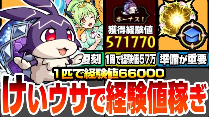 【モンスト】1周で経験値57万！神イベ『けいウサ』に備えよう！効率良いランク上げの為に事前準備が重要！周回は絶対にアレを使おう！復刻されたリドーラ姫を周回しよう！【モンフリ】【へっぽこストライカー】