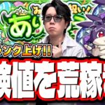 【🔴モンストLIVE】「けいウサ」を乱獲して経験値ガッポリ稼いでいく!! 超簡単に攻略できる編成は⁉  情報交換しましょう!!【リドーラ姫】