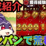 【けいウサ】※経験値荒稼ぎのイベントきたぁー！！リドーラ姫ワンパン編成３種類紹介します【モンスト】