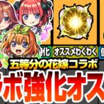 【モンスト】五等分コラボの強化オススメ！引いたら確認しよう！わくわくの実セットや戦型の書を使うべきキャラ！一緒に組むキャラも考慮したオススメ強化まとめ！超獣神祭【五等分の花嫁】【へっぽこストライカー】