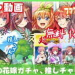 【モンストガチャ/雑談】👰🏻‍♀️五等分の花嫁コラボ！超獣神祭で運命の人を引き当てる！！！！！