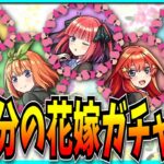 五等分の花嫁コラボガチャ回すぞ！！！【モンスト】