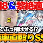 【夜桜二刃】希少な庭園8ド適正キャラ《夜桜さんち大作戦》高倍率SS &強友情と器用な性能【モンスト】