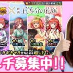 【🔴生配信】ダンディマットを運極にしていく！マルチ募集中！【五等分の花嫁コラボ モンスト モンスターストライク モンスト女子 ぶーちゃんねる】